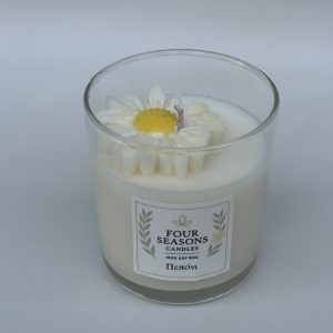 Χειροποίητικο αρωματικό κερί πεπόνι με μαργαρίτα